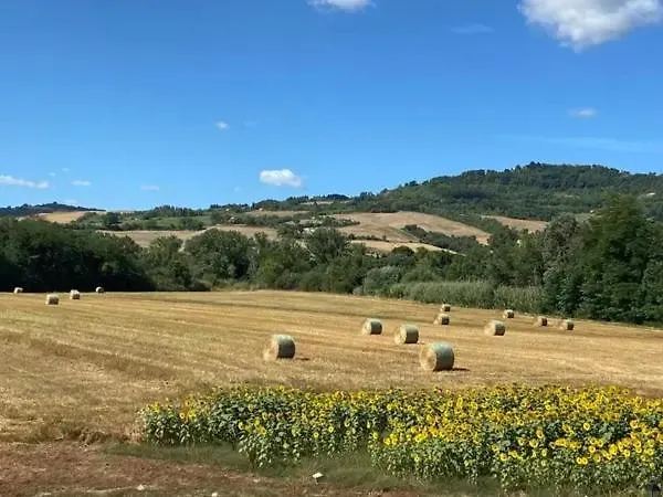 Podere La Querciola Apartment Guardistallo Italy