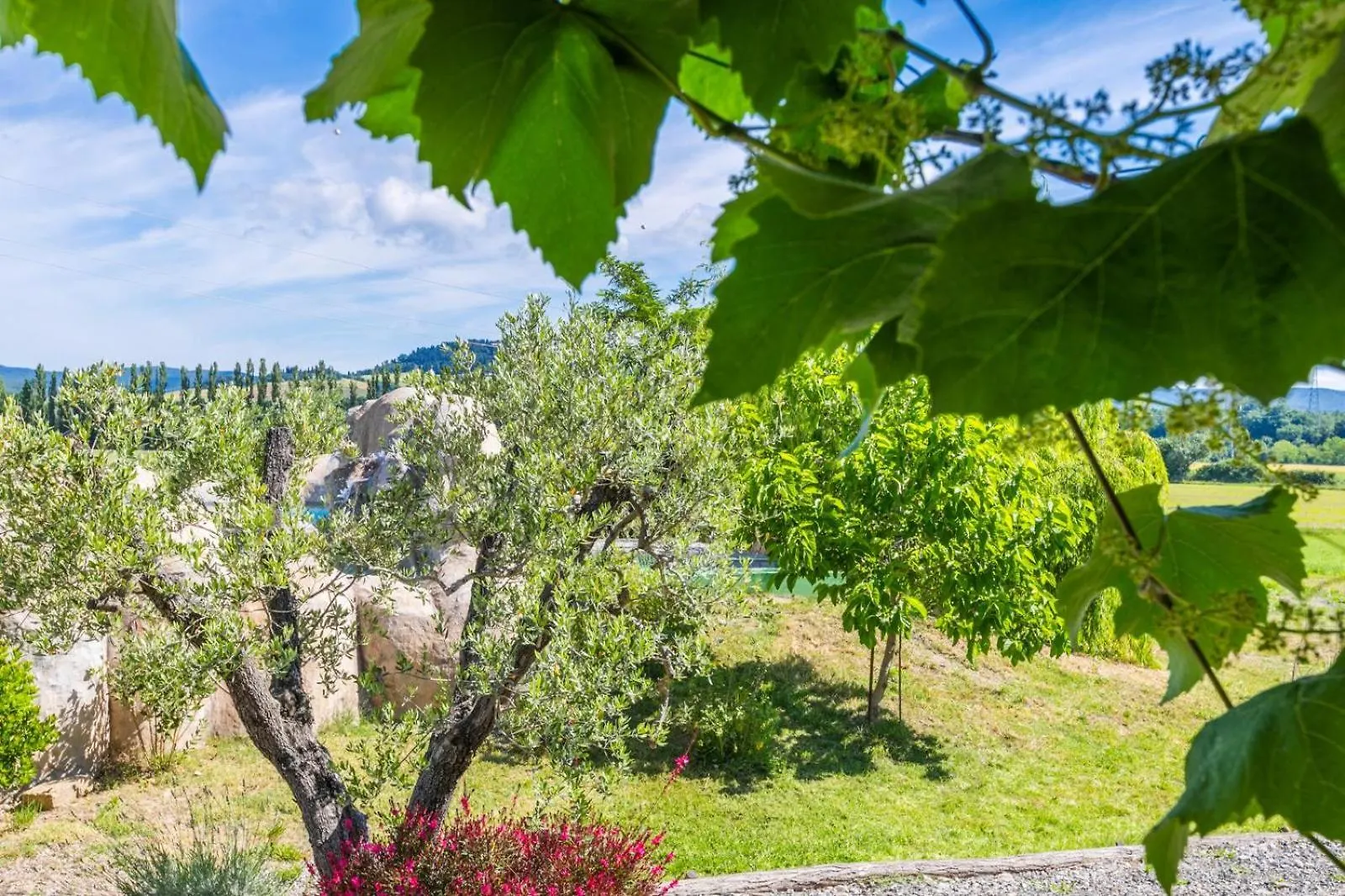 Podere La Querciola Guardistallo 0*,