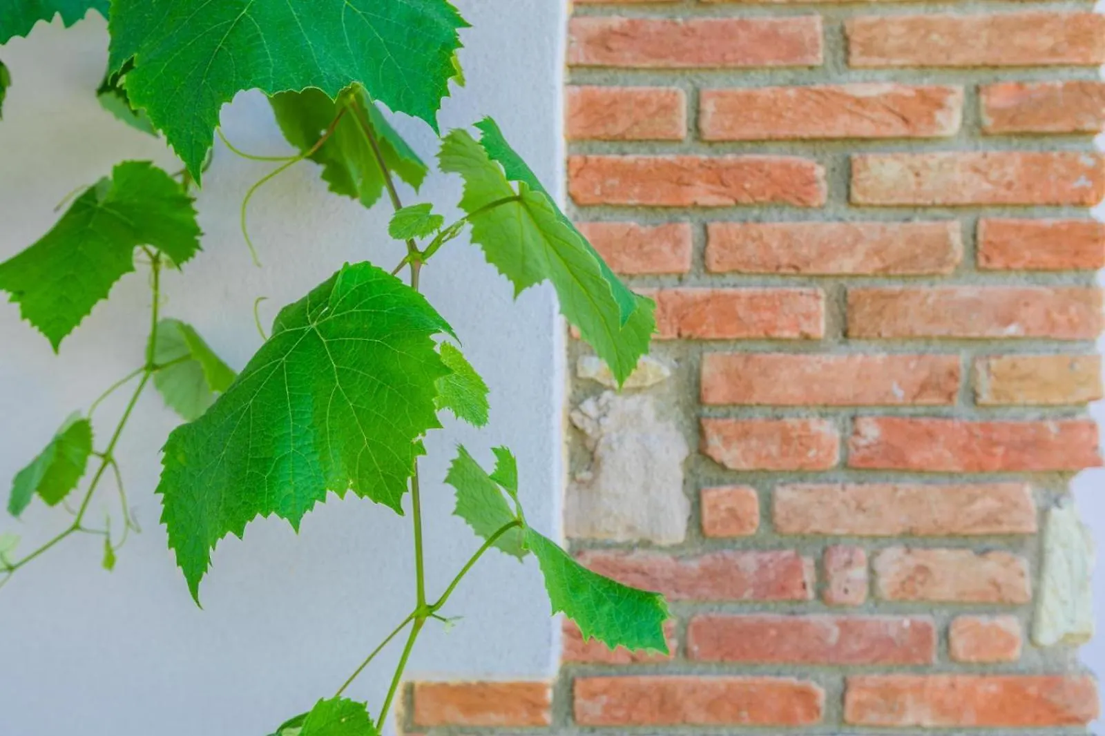Podere La Querciola Guardistallo